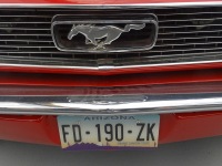 avignon-motor-festival-2025_074