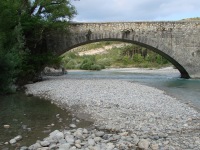 115.JPG