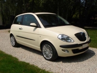 lancia-ypsilon-1-3-dfn-platino-a01