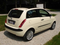 lancia-ypsilon-1-3-dfn-platino-a03