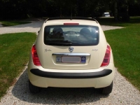 lancia-ypsilon-1-3-dfn-platino-a04