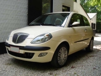 lancia-ypsilon-1-3-dfn-platino-a12