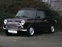 mini_chic_a1